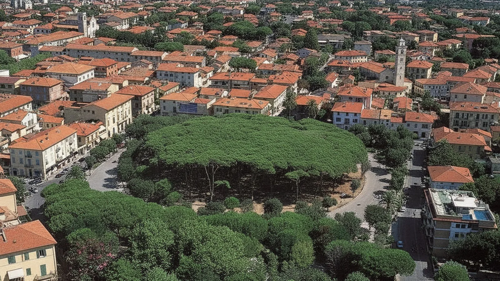 Villa Daniela del Forte · Casa vacanze a Forte dei Marmi, Toscana, 